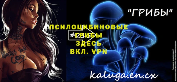 apvp Богданович